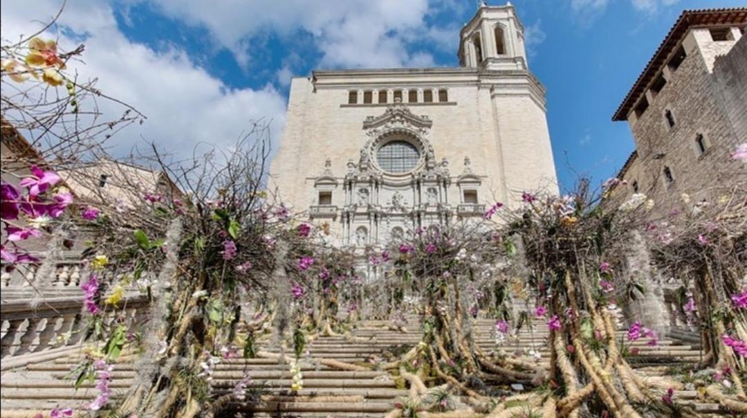 Global Immo 3347 La Solana Leilighet Roses Eksteriør bilde